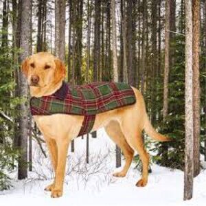 Outback jack reversible dog flannel red jacket XL